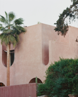 Biel Moreno